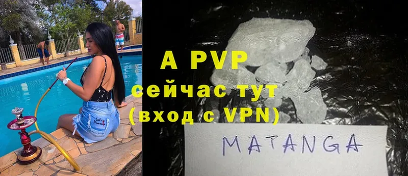 A PVP СК КРИС  Новозыбков 